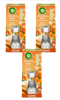 Airwick Pumpkin And Winter Spice Reed Diffuser 42ml x 3